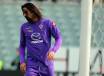 L'attaccante della Fiorentina Amauri (Getty Images)