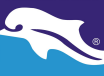 pescara_calcio