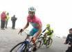 2116737-nibali2