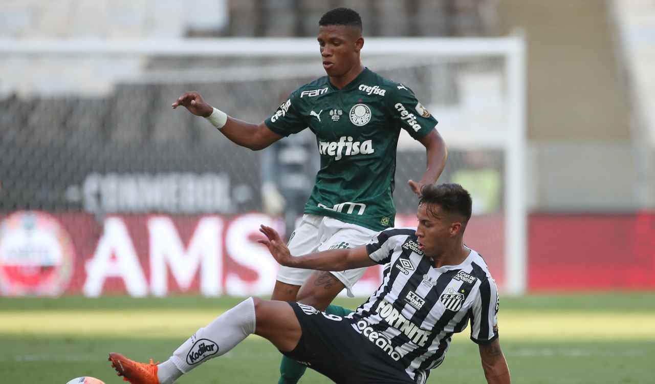 danilo palmeiras