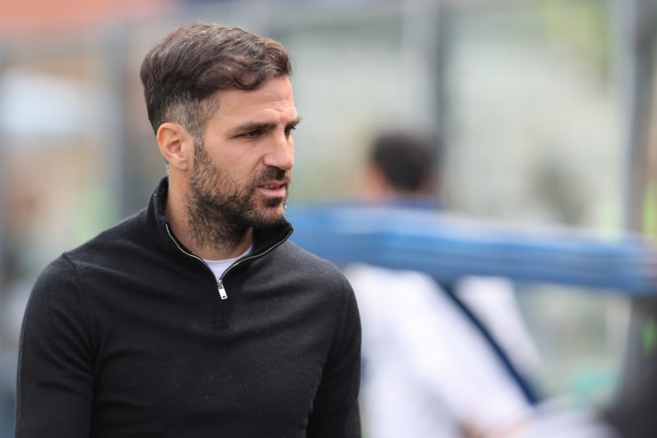 Fabregas è il favorito numero uno 