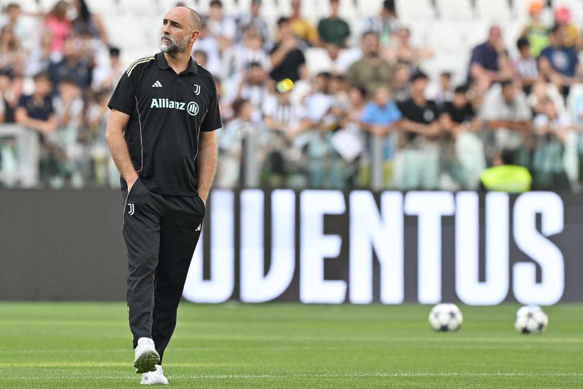 Tudor cammina in campo