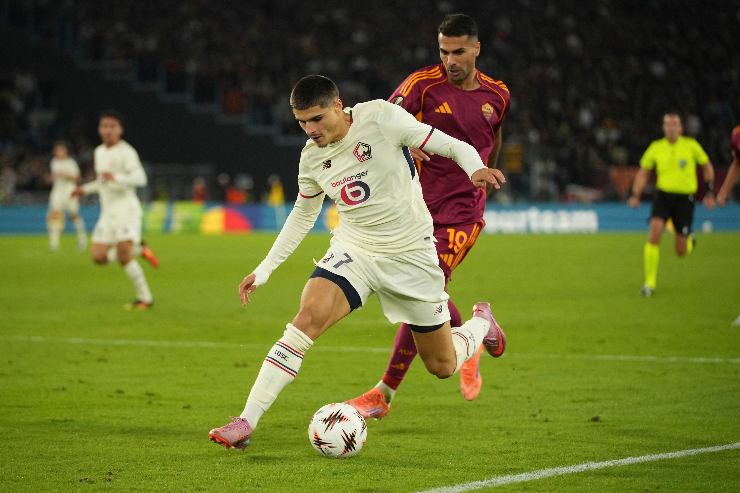 Celik contrasta Pardo